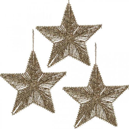 Artikel Christbaumschmuck, Adventsdeko, Stern-Anhänger Golden B20,5cm 6 St