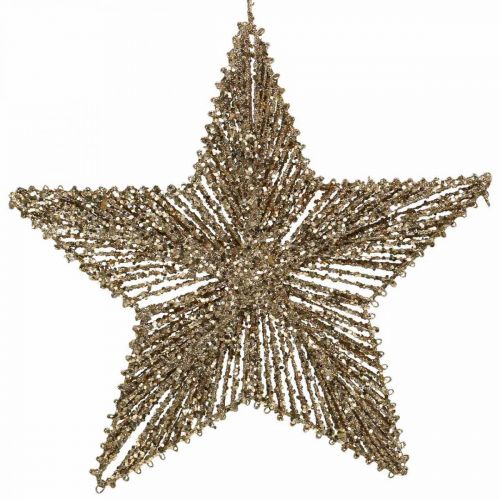 Artikel Christbaumschmuck, Adventsdeko, Stern-Anhänger Golden B30cm 4 St