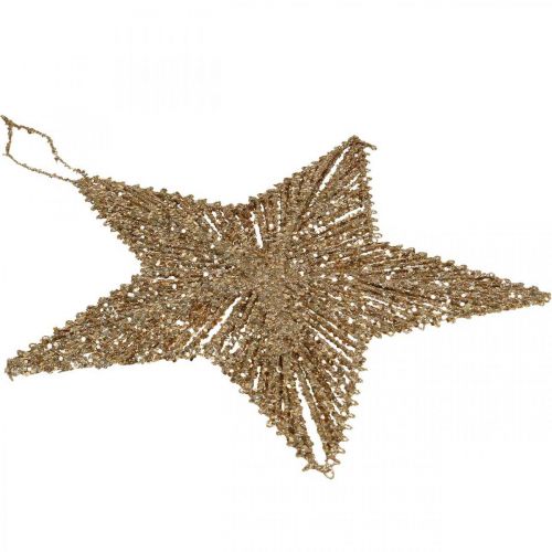 Artikel Christbaumschmuck, Adventsdeko, Stern-Anhänger Golden B20,5cm 6 St