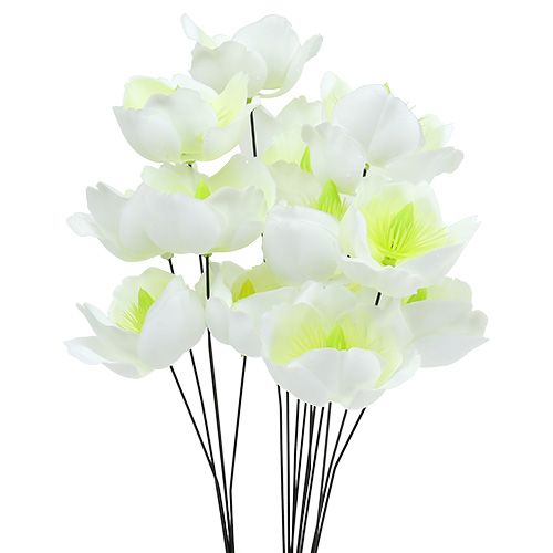 Floristik24 Christrose am Draht Weiß 50 St