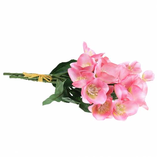 Floristik24 Blumenstrauß Christrosen Rosa 29cm 4 St