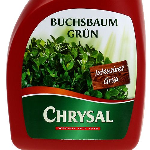 Floristik24 Chrysal Blattdünger Buchsbaum Grün 500ml