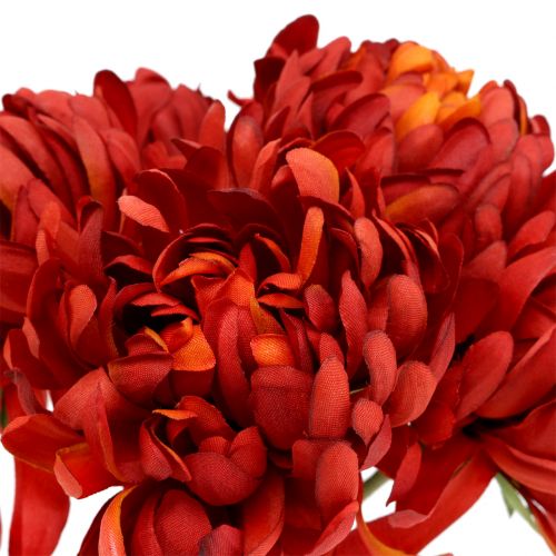 Floristik24 Chrysanthemen Strauß Zinnoberrot 28cm 6 St