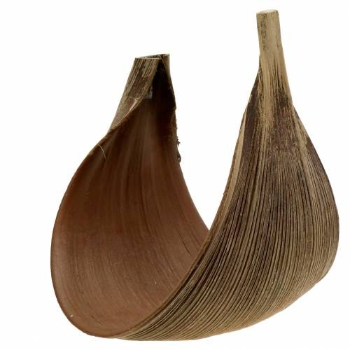 Artikel Kokospalmenblatt Galara gebogen