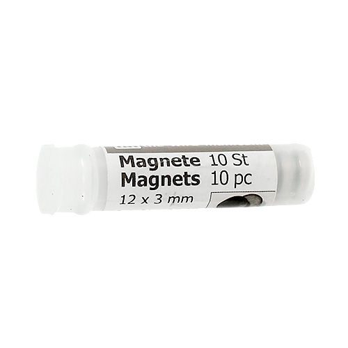 Artikel Corsagemagnet 12 x 3 mm 10 St