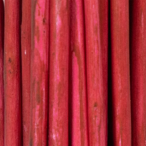 Artikel Curly Willow Getrockneter Deko Zweig für kreative Floristik und Wohnaccessoires 80cm 70g