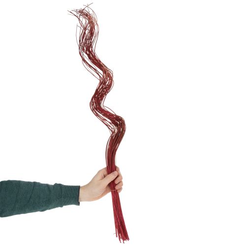 Curly Willow Getrockneter Deko Zweig für kreative Floristik und Wohnaccessoires 80cm 70g | Floristik24.de