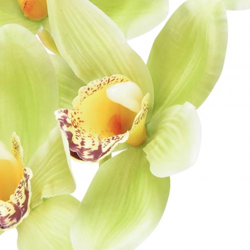 Floristik24 Cymbidium Orchidee künstlich 5 Blüten Grün 65cm