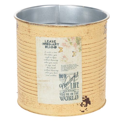 Deko Dose Apricot Pflanztopf Metall Sommerdeko Ø15,5cm H15cm
