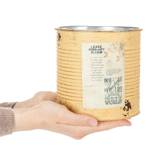 Artikel Deko Dose Apricot Pflanztopf Metall Sommerdeko Ø15,5cm H15cm