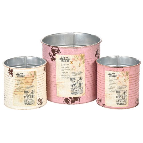 Blumentopf Set für Balkon und Garten Pflanzdose Dekoration Vintage Stil 15cm 3St