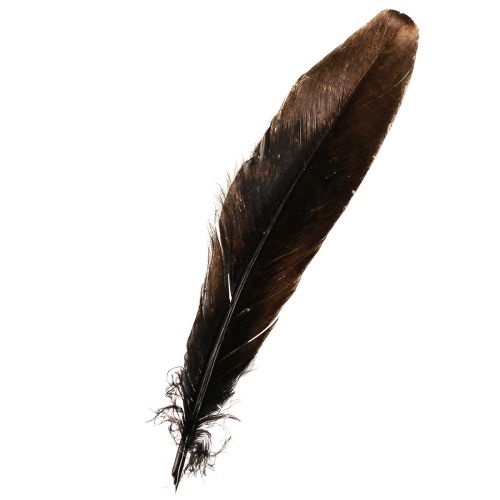 Artikel Deko Federn Gold Weihnachtsdeko Federn 15-20cm 12 St