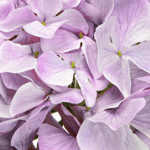 Artikel Deko Hortensien Kunstblumen Lila Blüte Ø18cm 69cm 2St