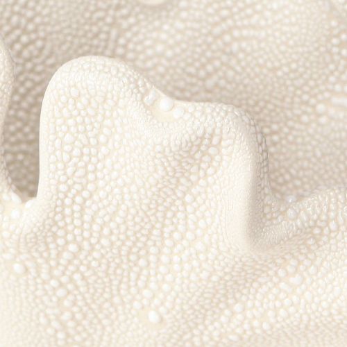 Artikel Deko Muschel Vase Mini Keramikvase Creme 14×7,5×9,5cm