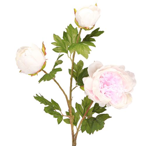 Floristik24 Deko Pfingstrosen Rosa 3 Blüten Langstielig L80cm 2St