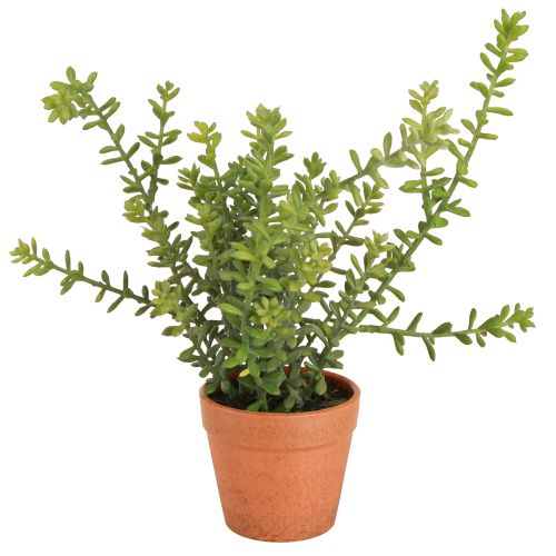 Artikel Deko Thymian im Topf Künstliche Kräuter Küchendeko 25cm