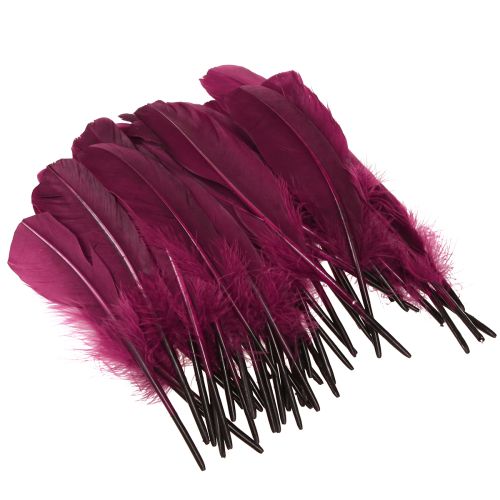 Artikel Dekofedern Burgund Gänsefedern Bastelbedarf 20g x 2St