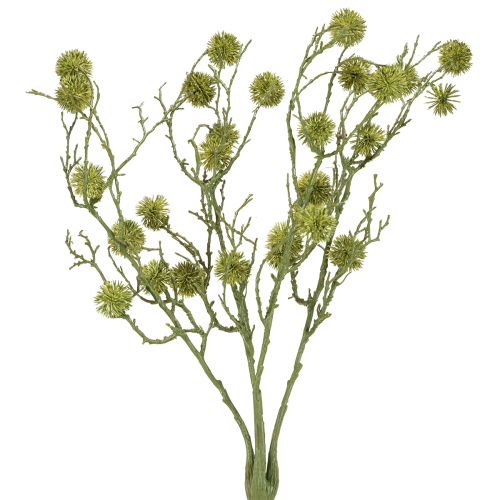 Floristik24 Dekozweig Amberbaum Baumfrüchte Hellgrün 48cm