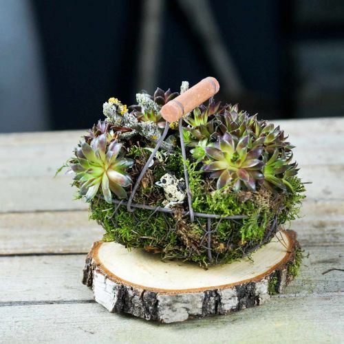 Artikel Drahtkorb oval mit Henkel Grau 17×11cm H15cm 2St