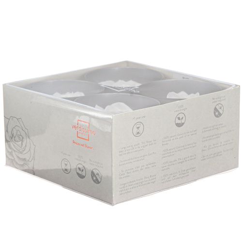 Artikel Echte Rosenköpfe Infinity Rosen Weiß Premium Ø8,5cm 4 St