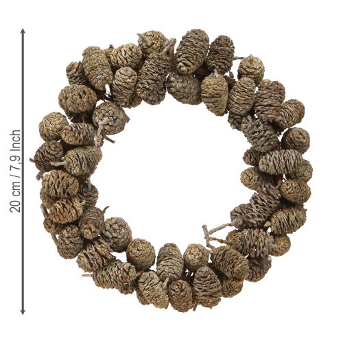 Artikel Erlenzapfen Kranz zum Hängen Weiß gewaschen Ø18cm