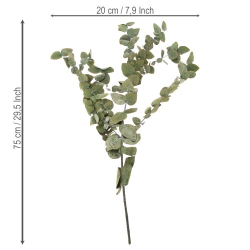 Artikel Eukalyptus Konserviert Deko Zweige Blätter rund Trockendeko Grün 150g