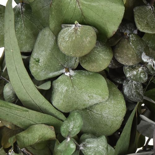Artikel Eukalyptuskranz Naturkranz Eukalyptus Konserviert Ø35cm
