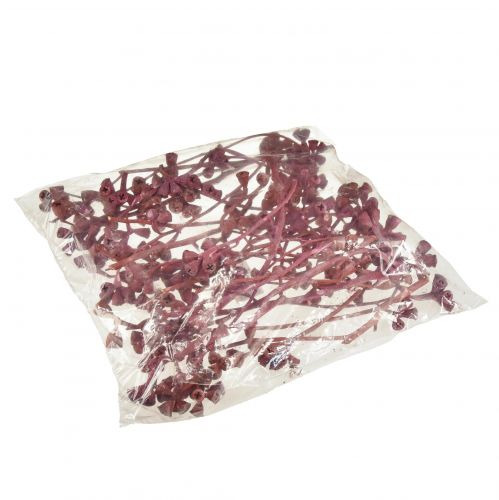 Artikel Eukalyptuszweige Rot Gefrostet Naturdeko Exoten 25 St