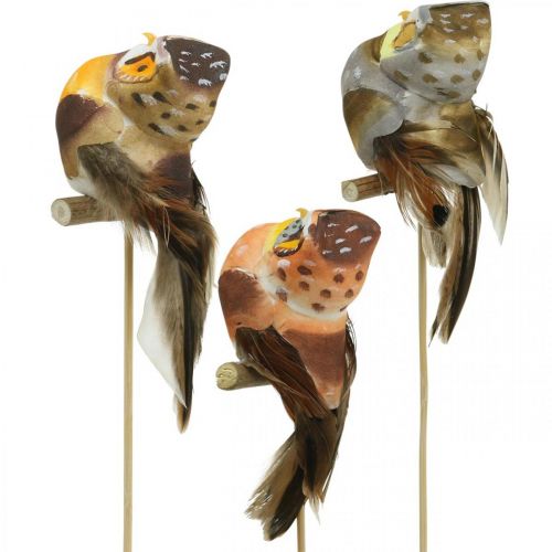 Dekostecker Eule, Blumendeko, Eule mit Federn H5,5cm 6St | Floristik24.de