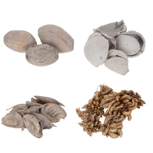 Potpourri Tischdeko mit Schalenfrüchten für natürliche Sommeratmosphäre