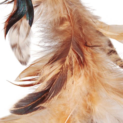 Artikel Federkranz in Hellbraun Deko Kranz Federn Ø20cm 3 St