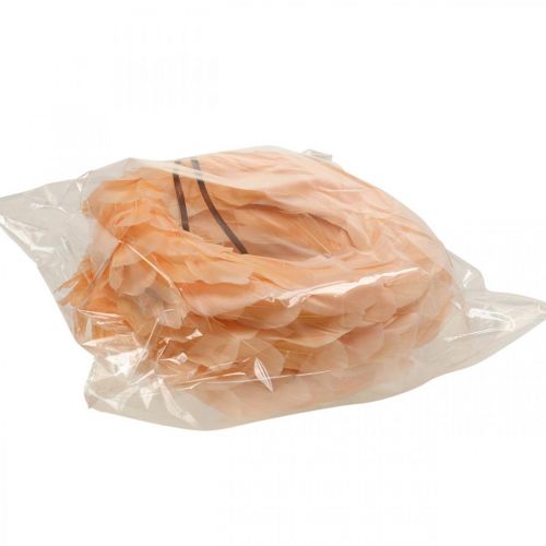 Artikel Federkranz Orange Kranz zum Aufhängen Türkranz Ø20cm 3St