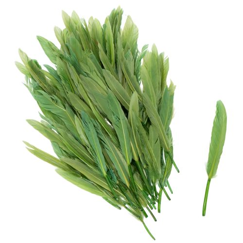 Dekorative Federn für stilvolles Ambiente und beeindruckende Dekorationen 10cm