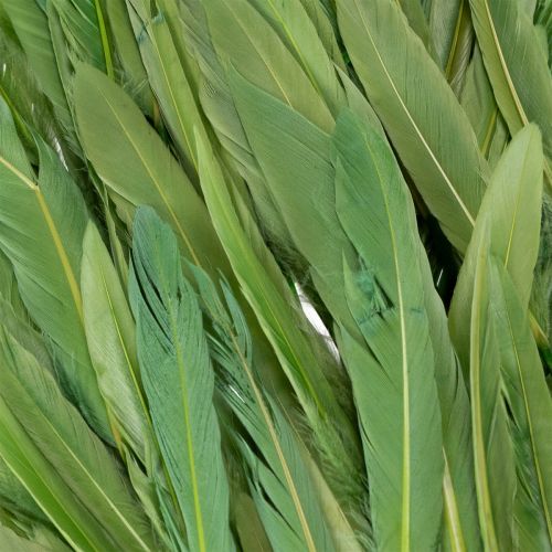 Artikel Dekorative Federn für stilvolles Ambiente und beeindruckende Dekorationen 10cm