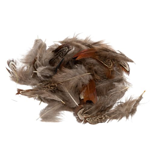 Federn für vielseitige Bastelideen zur kreativen Gestaltung und Dekorationsideen 5cm 3g