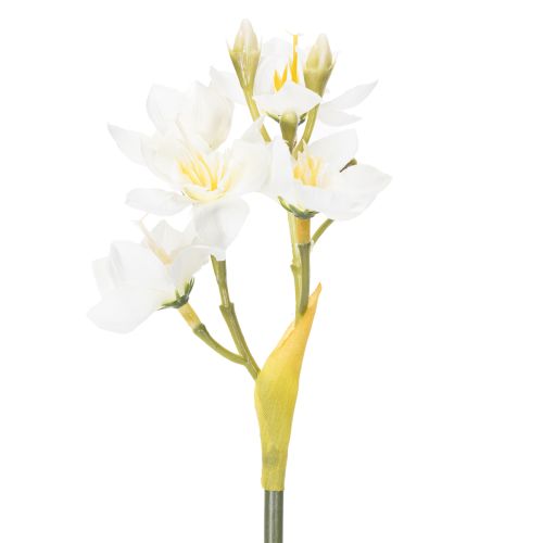 Artikel Narzissenzweig für saisonale Hochzeitsarrangements wunderschön 33cm 6St