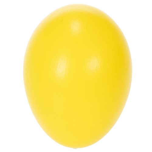 Ostereier Dekoration Echte Gänseeier für frühlingshafte Zimmergestaltung 8cm 10St | Floristik24.de