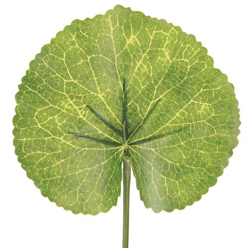Floristik24 Galax Urceolata Blätter Künstlich Grün Ø10cm L23cm 12 St