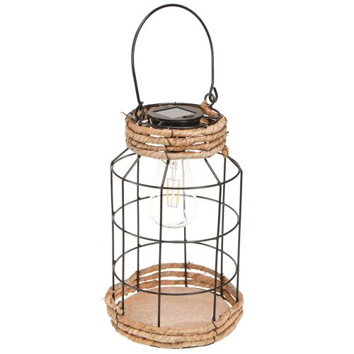 Floristik24 Gartenleuchte Solar Metall Schwarz Natur Ø18cm H29cm