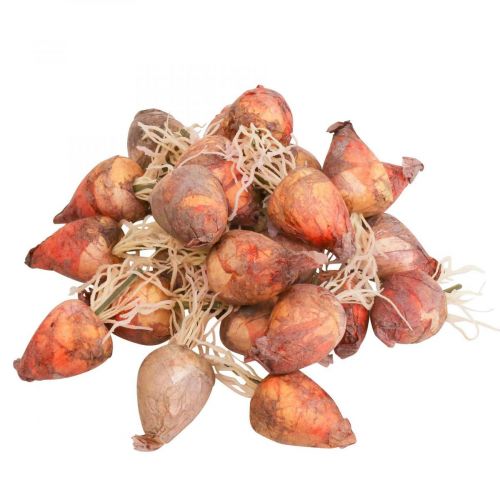 Artikel Gemüse Deko Mini Rüben künstlich Ø2,5cm H3,5cm 24 St