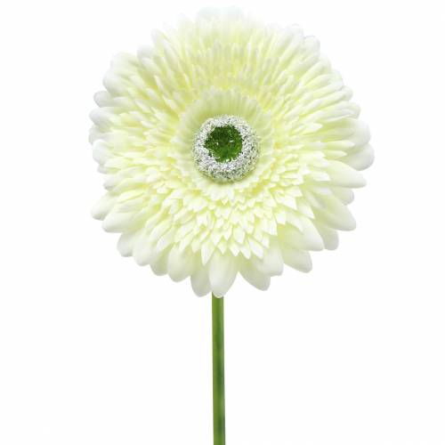 Artikel Gerbera künstlich Weiß 62cm 6 St