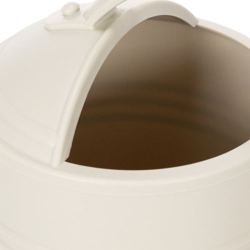 Artikel Gießkanne mit abnehmbarem Brausekopf Ideal für Zimmerpflanzen und Balkone 32cm