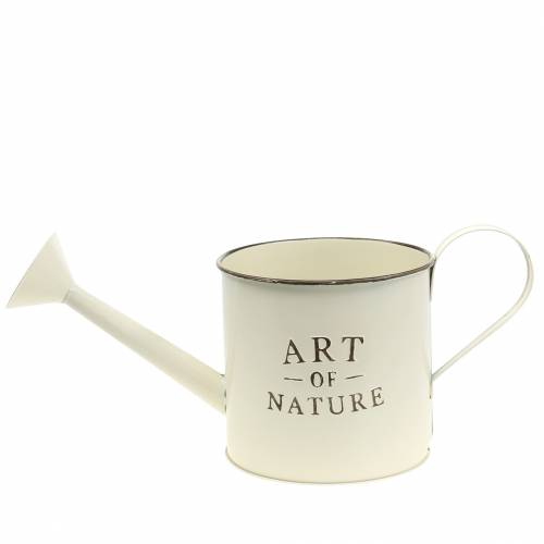 Artikel Blumentopf Gießkanne Creme Zink Ø16,5cm H17cm