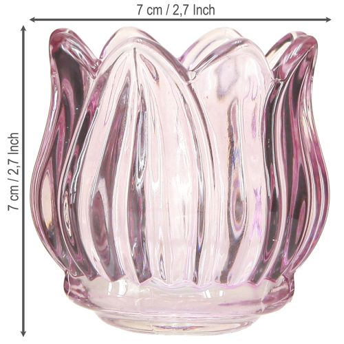 Artikel Glas Teelichthalter Teelichtglas Tulpe Lila Ø7cm H7cm 2St