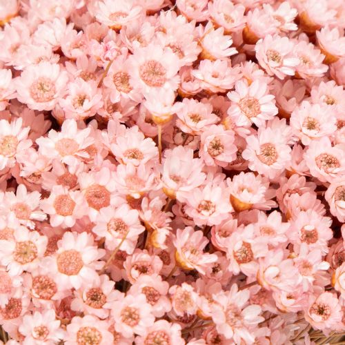 Artikel Deko Blütenbund Ideal für Frühling Ostern und feierliche Anlässe 44cm