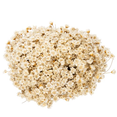 Artikel Trockenblumenstrauß zarte Blüten für natürliche Wohnraumdekoration 44cm