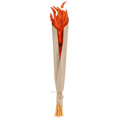 Artikel Hasenschwanzgras Lagurus Getrocknet Orange 50-60cm 50g
