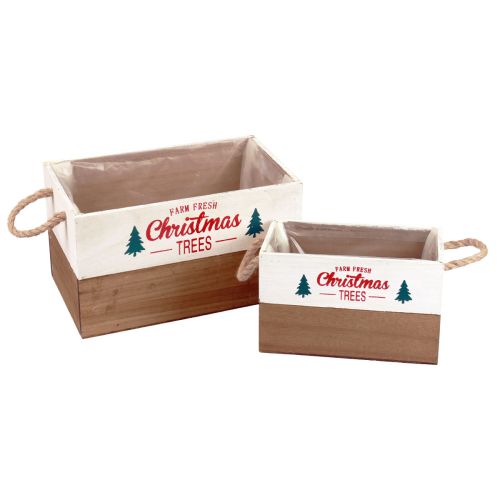 Floristik24 Pflanzkasten Holz Rechteckig Holzkiste L25/35cm 2er-Set