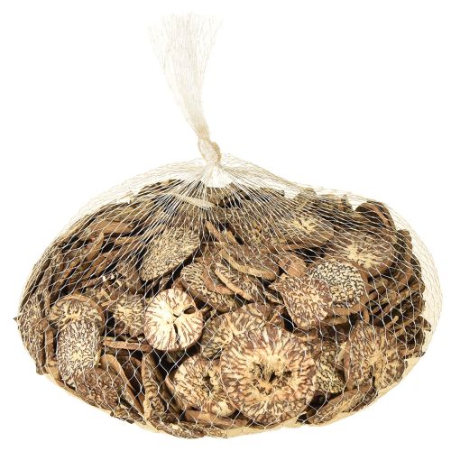 Artikel Holzscheiben Deko Betelnuss Scheiben Areka 1-3,5cm 300g