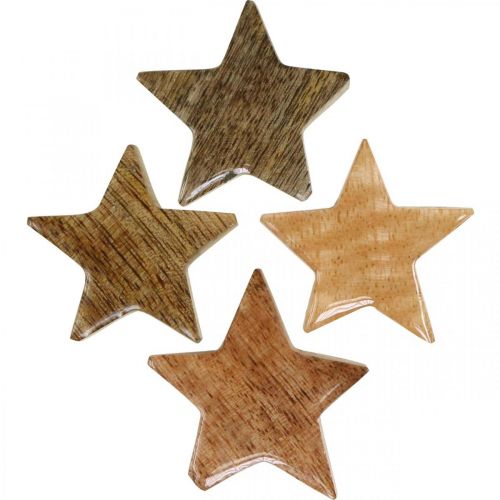 Floristik24 Holzsterne Streudeko Stern Weihnachten Natur Glanz H5cm 12 St